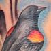 tattoos/ - red-winged black bird tattoo - 64331